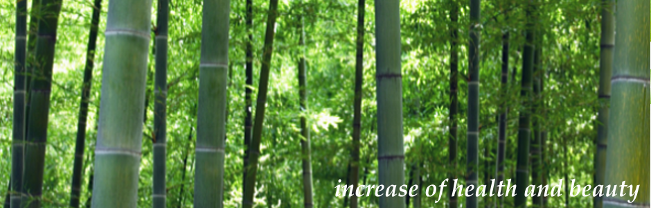 あすかソフト整体院