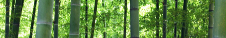 プライバシーポリシー